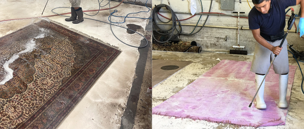 Area Oriental rug Cleaning Services