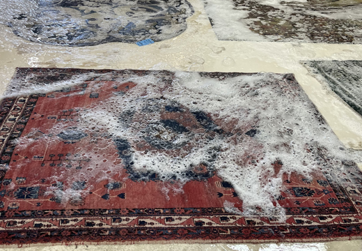 Antique Area Rug Cleaning Services