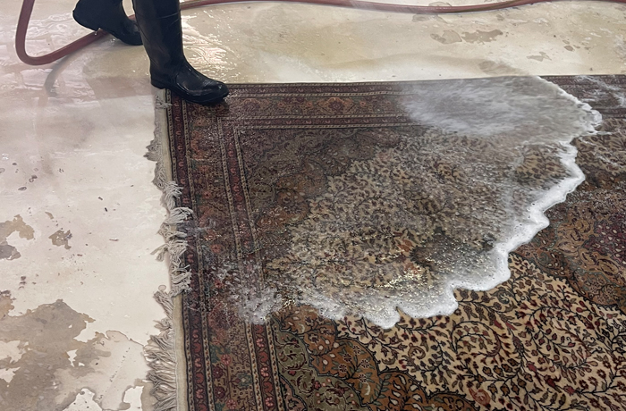 Indian Rug Cleaning