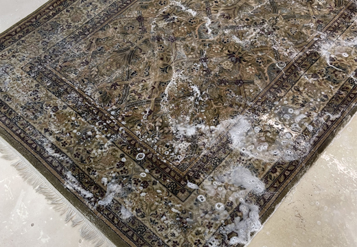 Area Persian Rug Cleaning Services