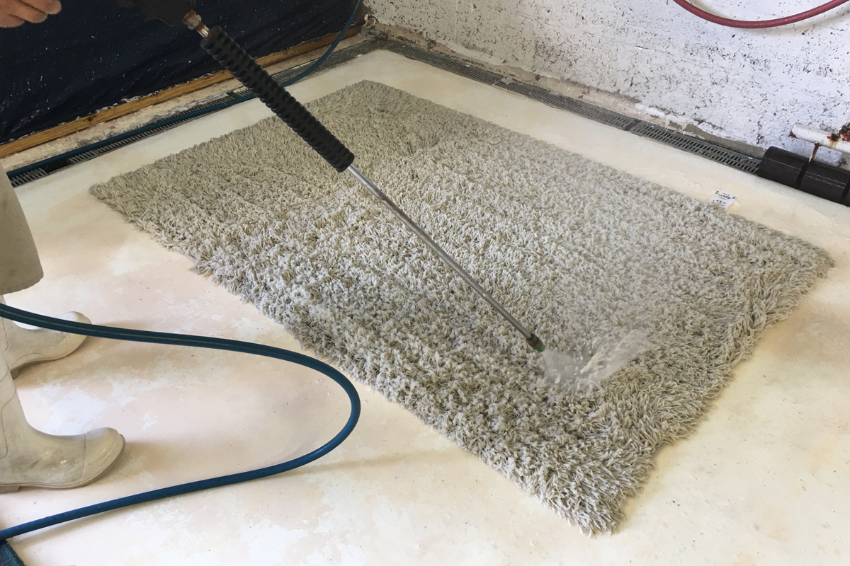 Wool Rug Cleaning
