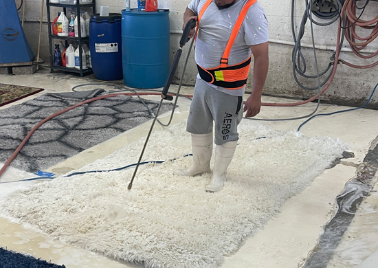 South Beach Wool Rug Cleaning Services